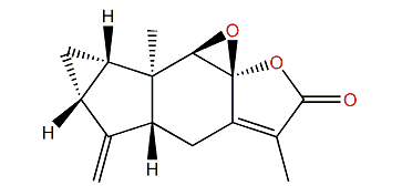 (S)-Chloranthalactone B
